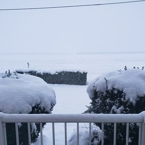 Meet your Posher, Mel